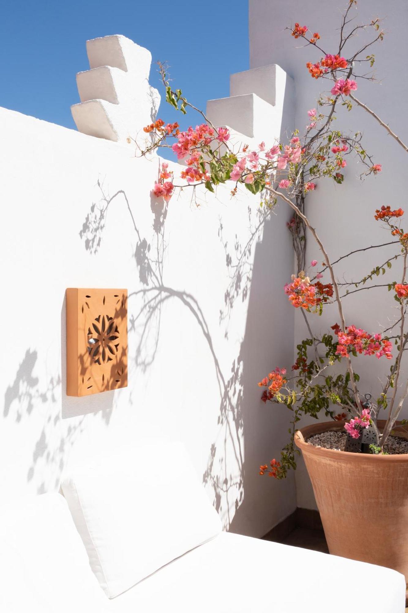 Riad Sashema Marrakesh Exteriör bild